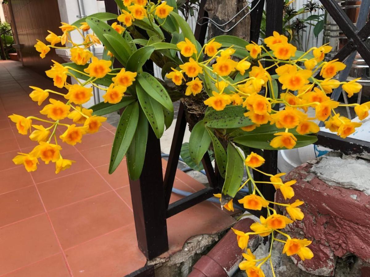 Villa Mery2 琅勃拉邦 外观 照片